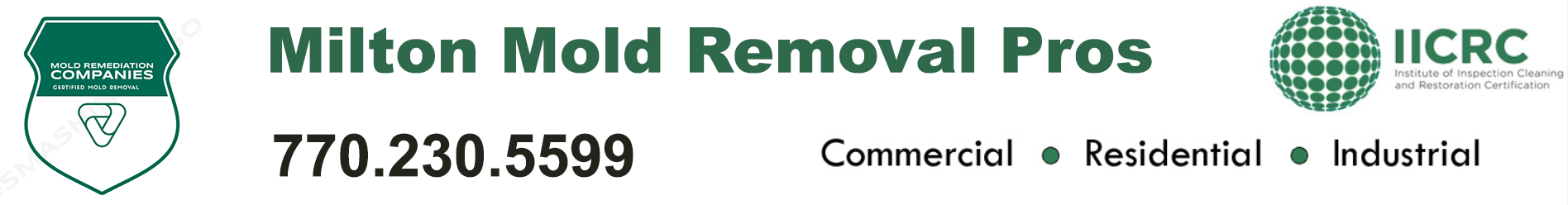 Milton Mold Removal Pros