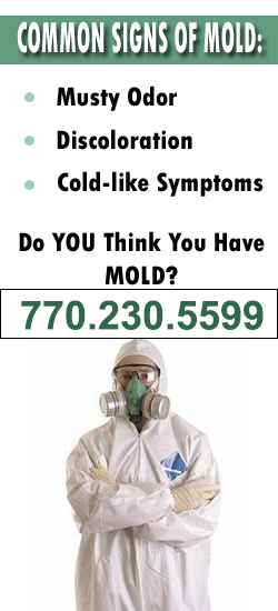Milton Mold Remediation Contractor